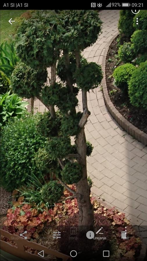 Angel'S Nest Apartment Komenda المظهر الخارجي الصورة